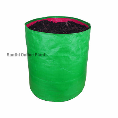 Green Grow bag 12*15 (5 PCS)
