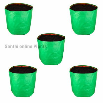 Green Grow bag 15*15(10 Pcs)