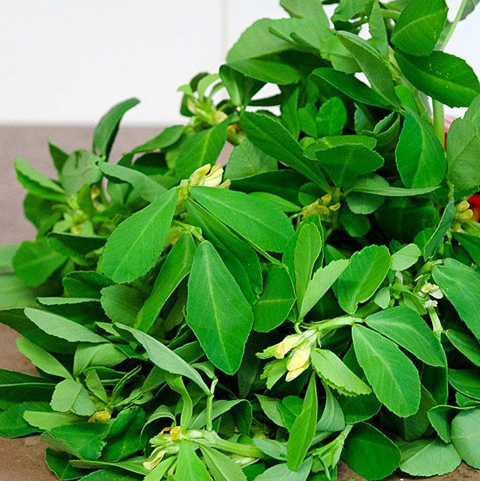 Vendhaya keerai seeds