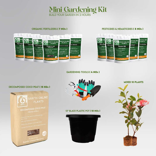Mini Gardening Kit2 : “Plant It Yourself (PIY) Kit”