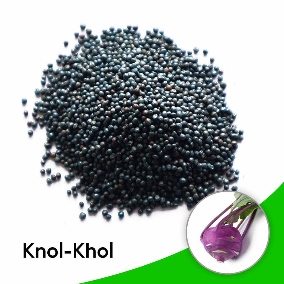 Sem Knol Knol khol seeds – Santhi Online Plants