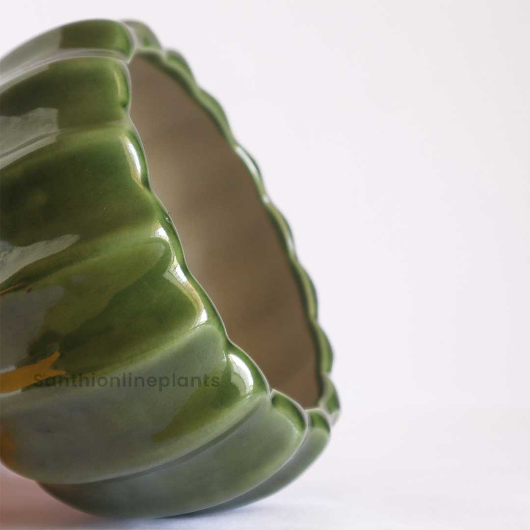 Lily Ceramic Light Green Pot(Small)