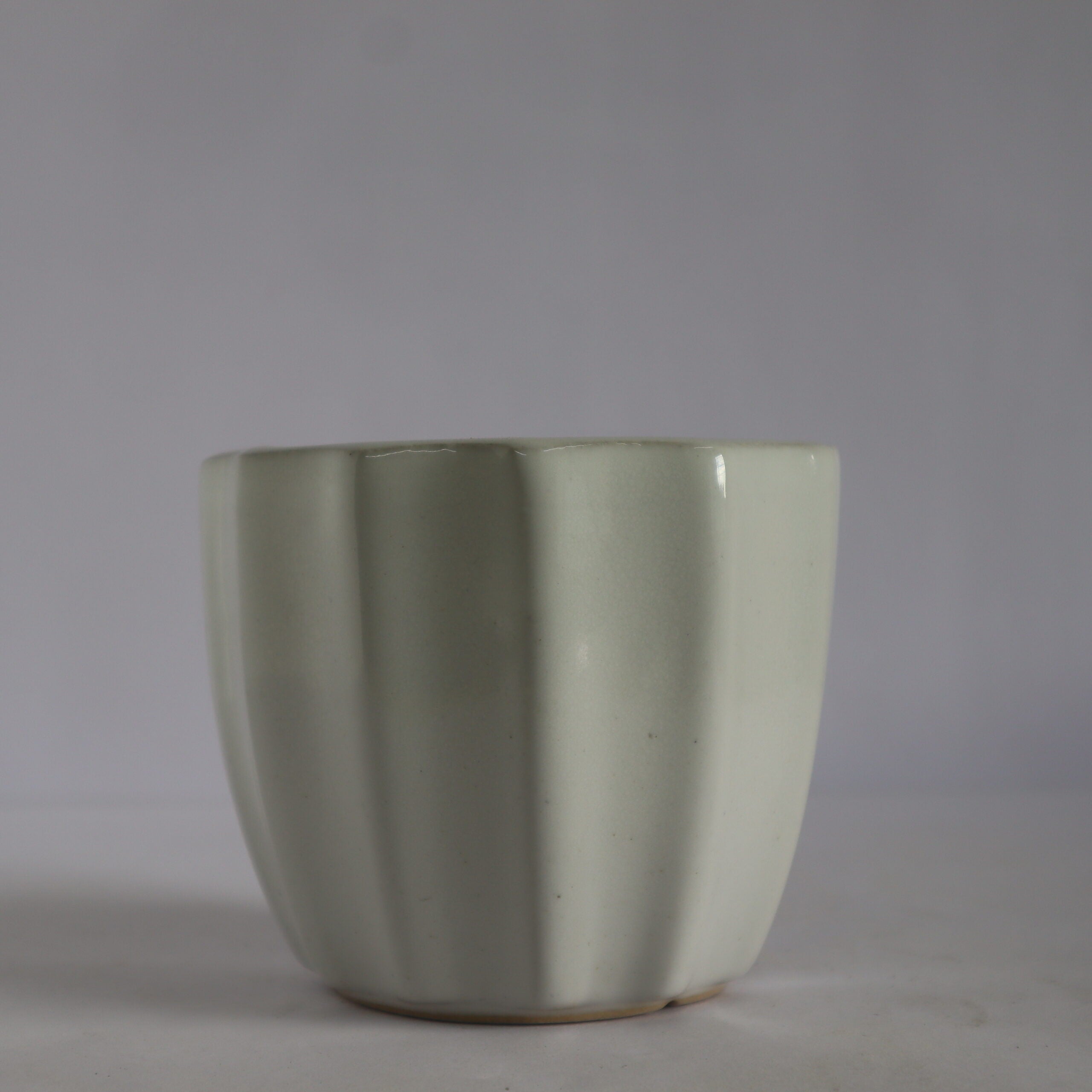Line White Ceramic Pot (Small) – Santhi Online Plants
