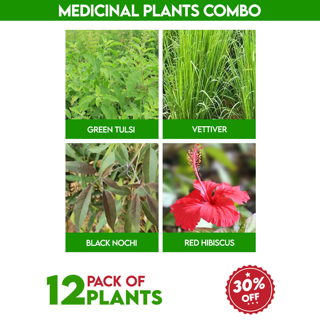Medicinal Plants Combo
