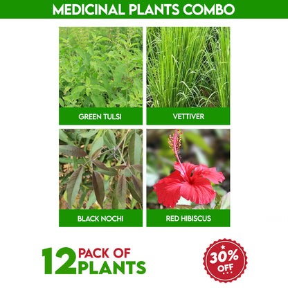 Medicinal Plants Combo