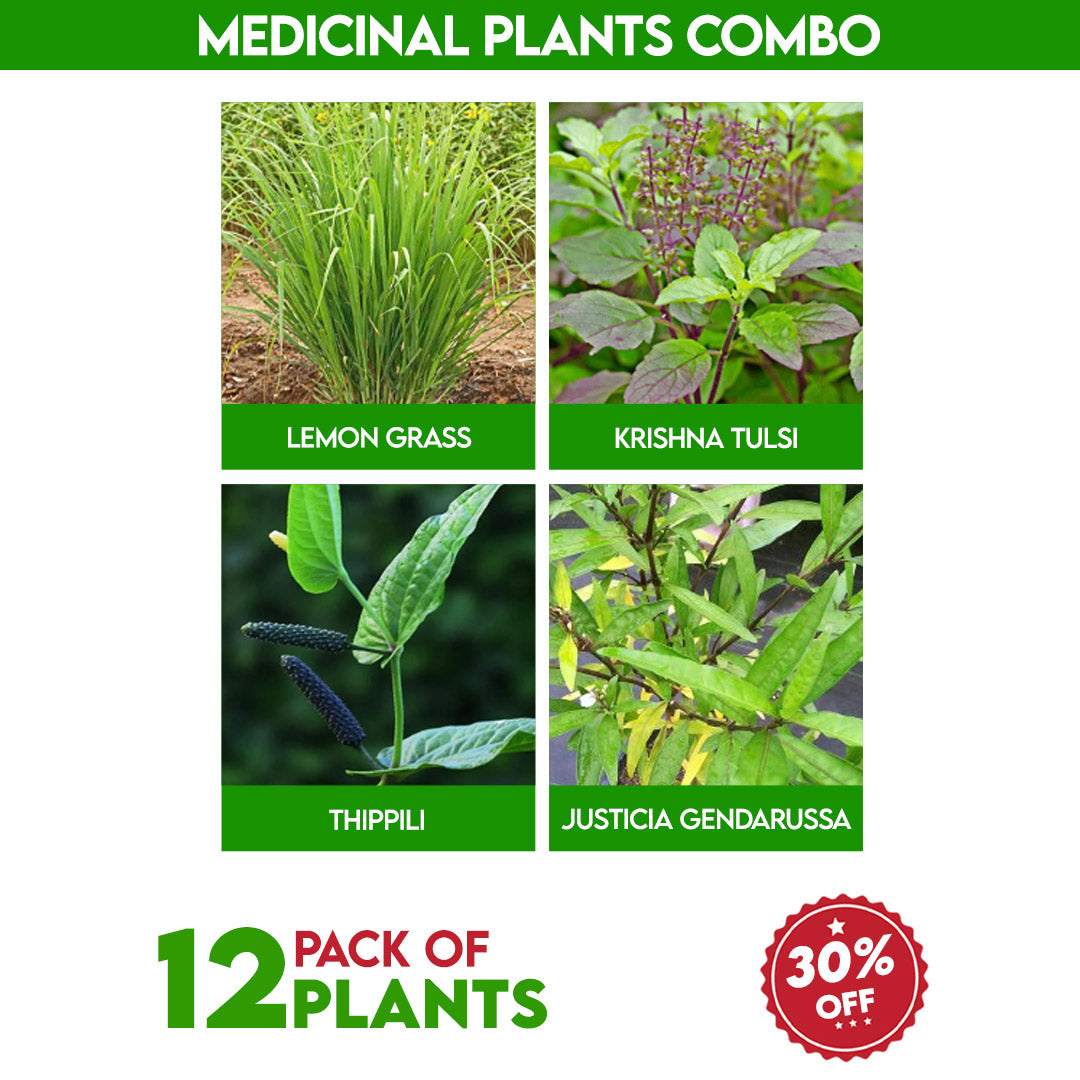 Medicinal Plants Combo