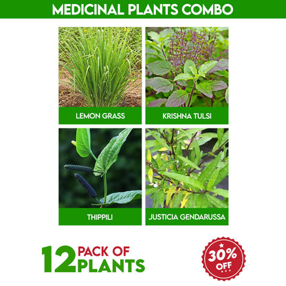 Medicinal Plants Combo