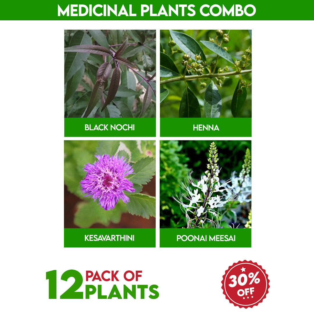 Medicinal Plants Combo