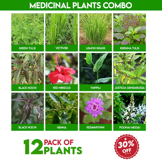 Medicinal Plants Combo