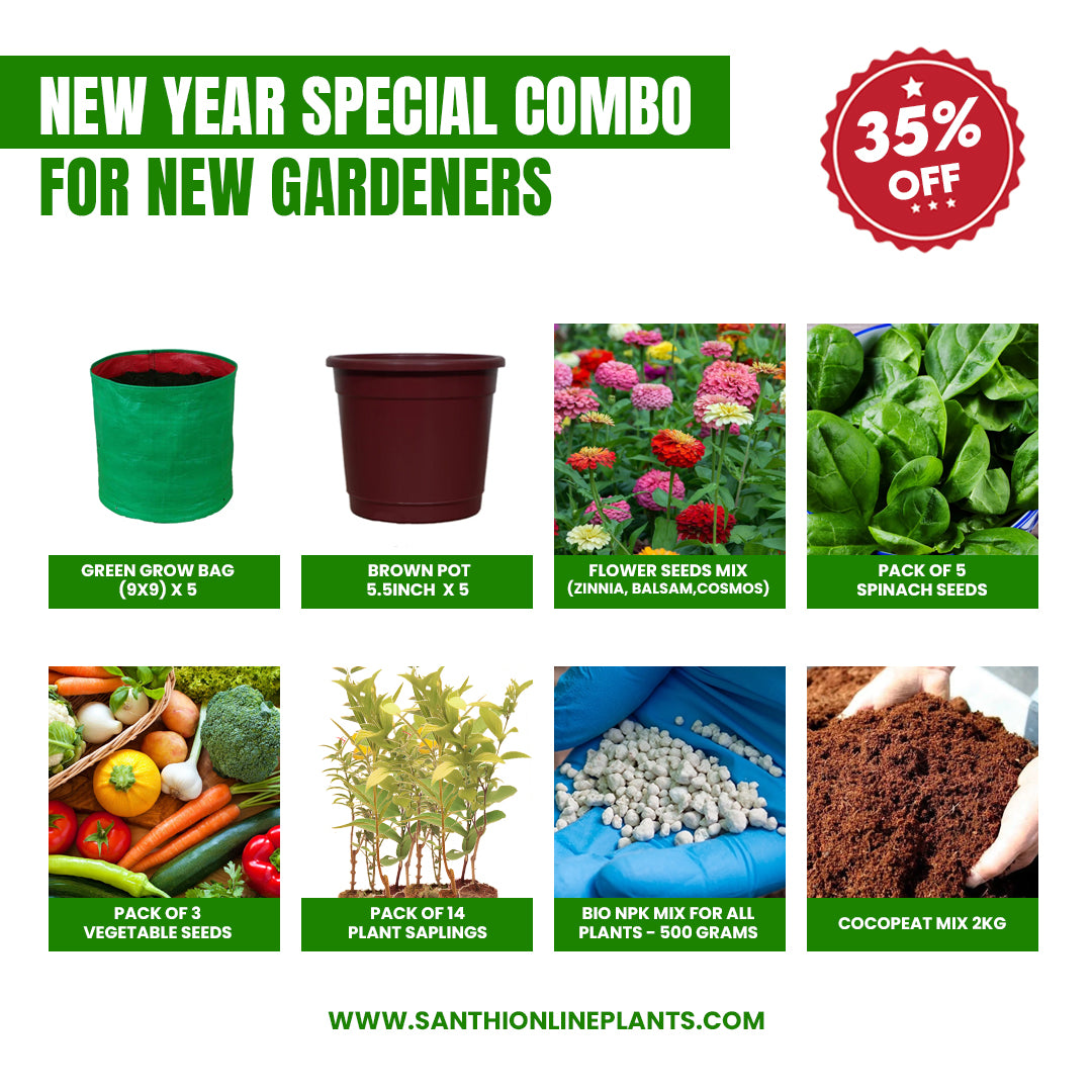 New year special combo for new Gardeners