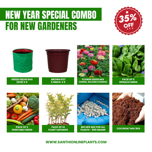 New year special combo for new Gardeners