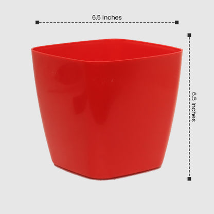 OLIVE 7 POT Any Colors(Pieces: 3)