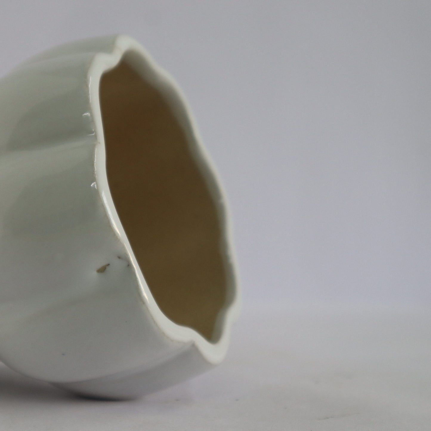 Pumpkin Bonsai White (small)