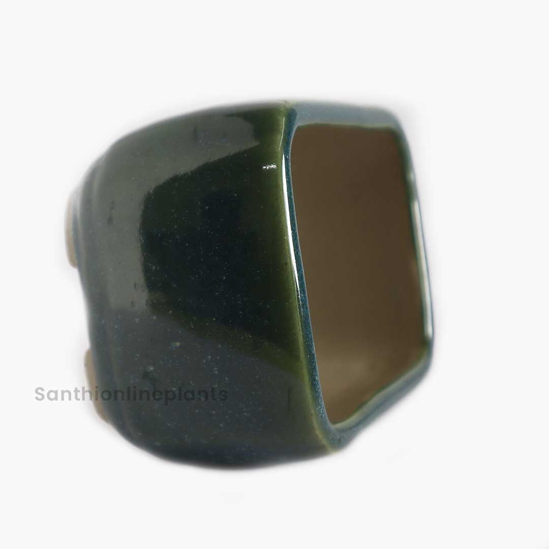 Rectangle Bonsai Green (Small)