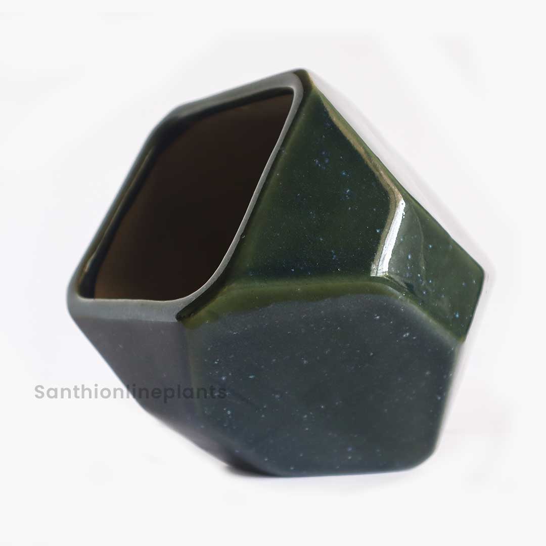 Square Ceramic Dark Green(Big)