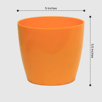 TITAN 1000 POT Any Colors(Pieces: 3)