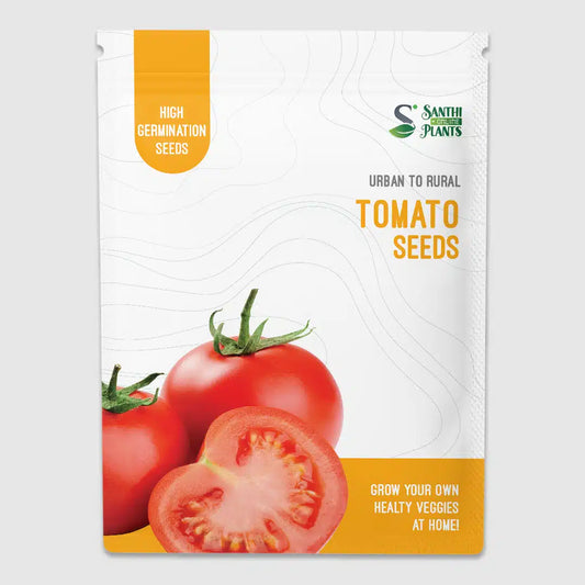 Tomato seeds