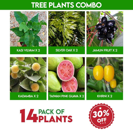 Tree Plants Combo