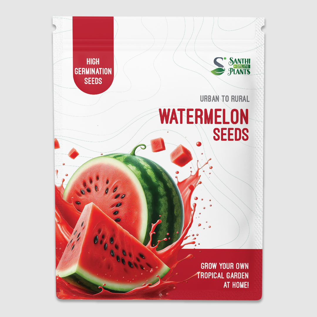 Watermelon Seeds