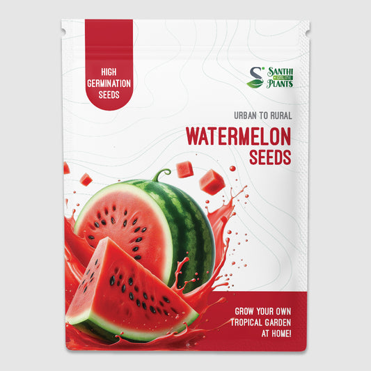 Watermelon Seeds