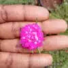 Double shade colorful flowers portulaca cuttings combo