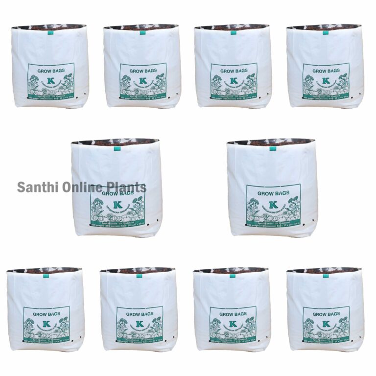 White Grow bag 20 * 20 * 35 (10 Pcs)