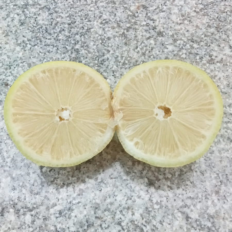 Seedless lemon plant