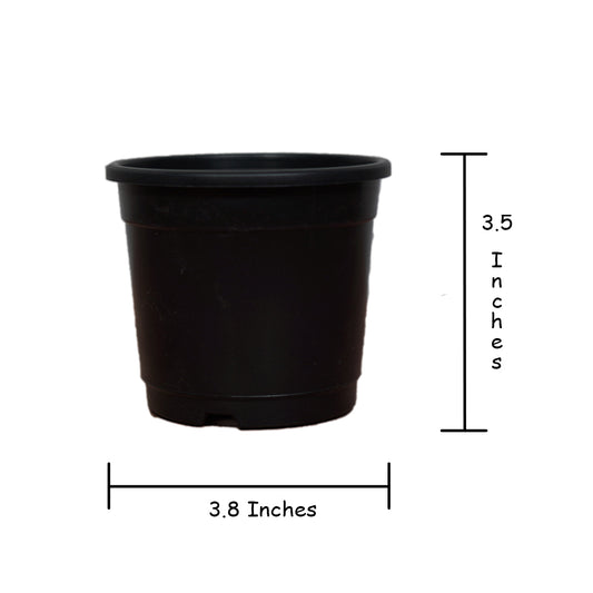 3.5 POT BLACK (Pieces: 5)