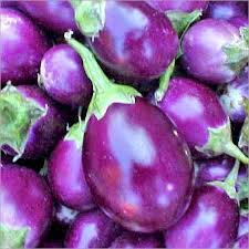 Purple round brinjal seeds
