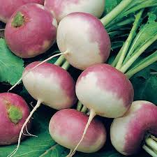 Turnip seeds