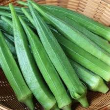 Green long okra seeds