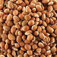 Sivappu mochchai -Field bean red seeds