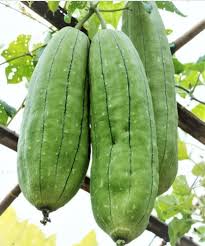Sponge gourd seeds ( Nurai peerkkan)