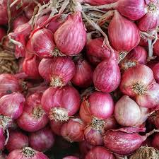 Small onion seeds