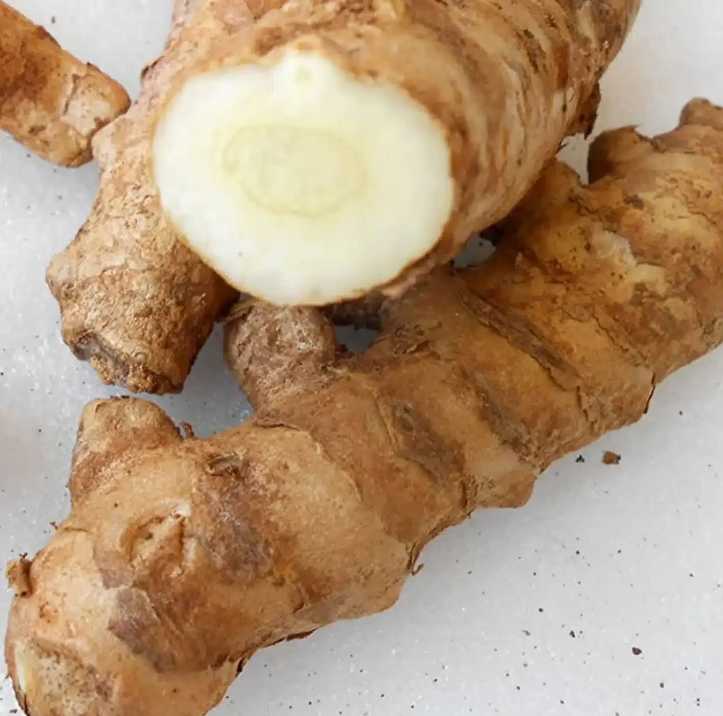 White kasthuri turmeric rhizome