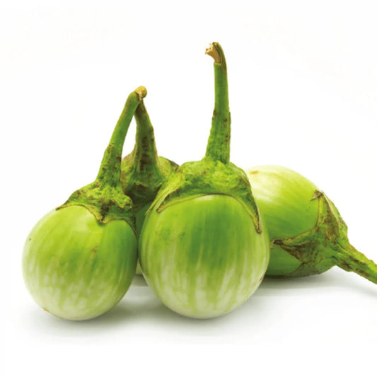 Green Brinjal - Varikkathiri Plant
