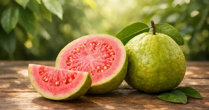 Delicious guava fruit plants combo (Pack of 12 plants)