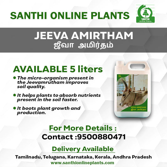 Natural Jeevamrut – Jeevamirtham