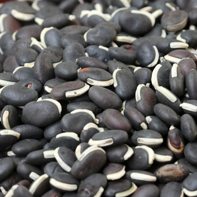 Field bean black seeds - karuppu mochchai
