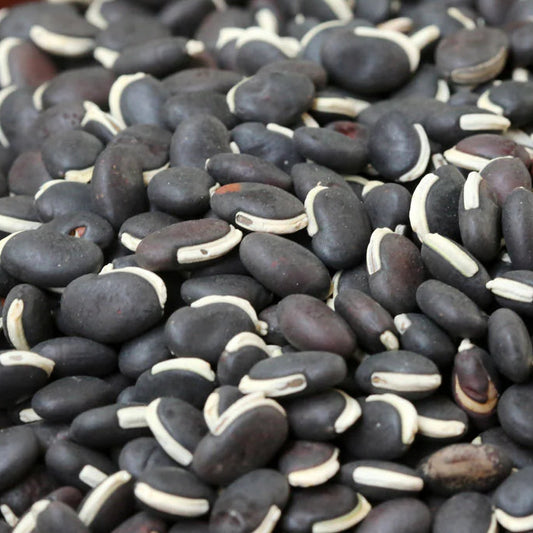 Field bean black seeds - karuppu mochchai