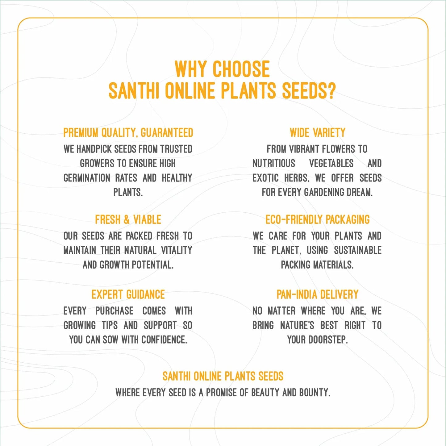 BEETROOT SEEDS