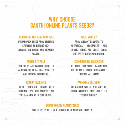 BEETROOT SEEDS