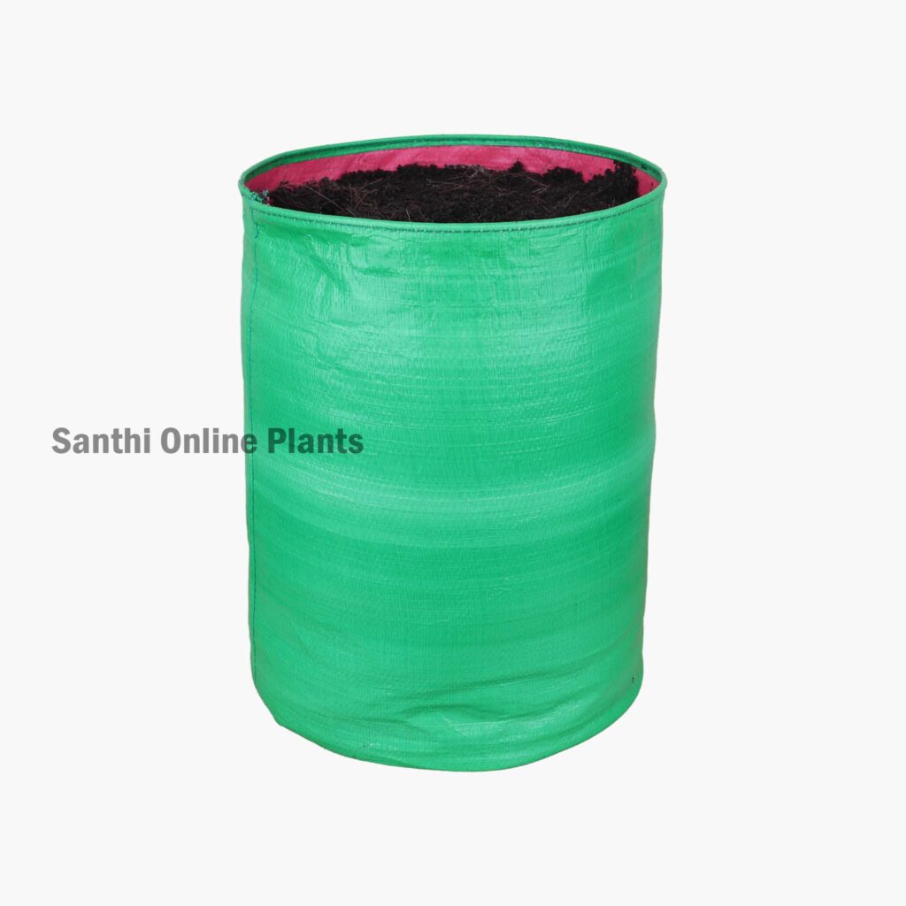 Green Grow bag 9*12 (5 Pcs) - Santhi Online Plants Nursery