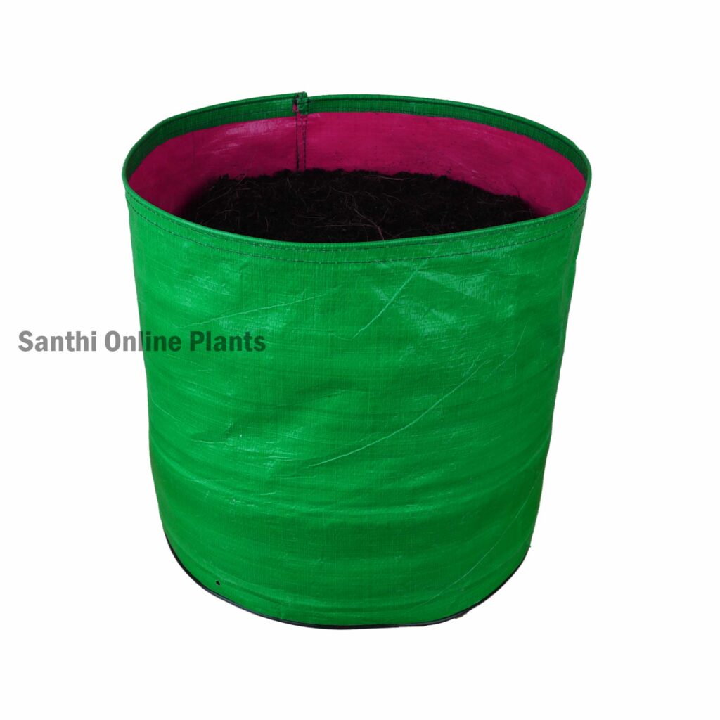 Green Grow bag 12 * 12 (10 pcs) - Santhi Online Plants Nursery