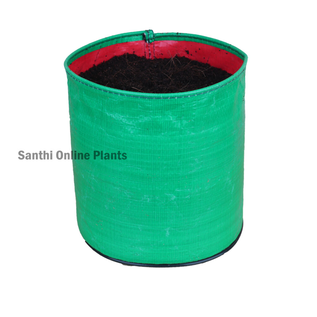 Green Grow bag 6*6 (10 Pcs) - Santhi Online Plants Nursery