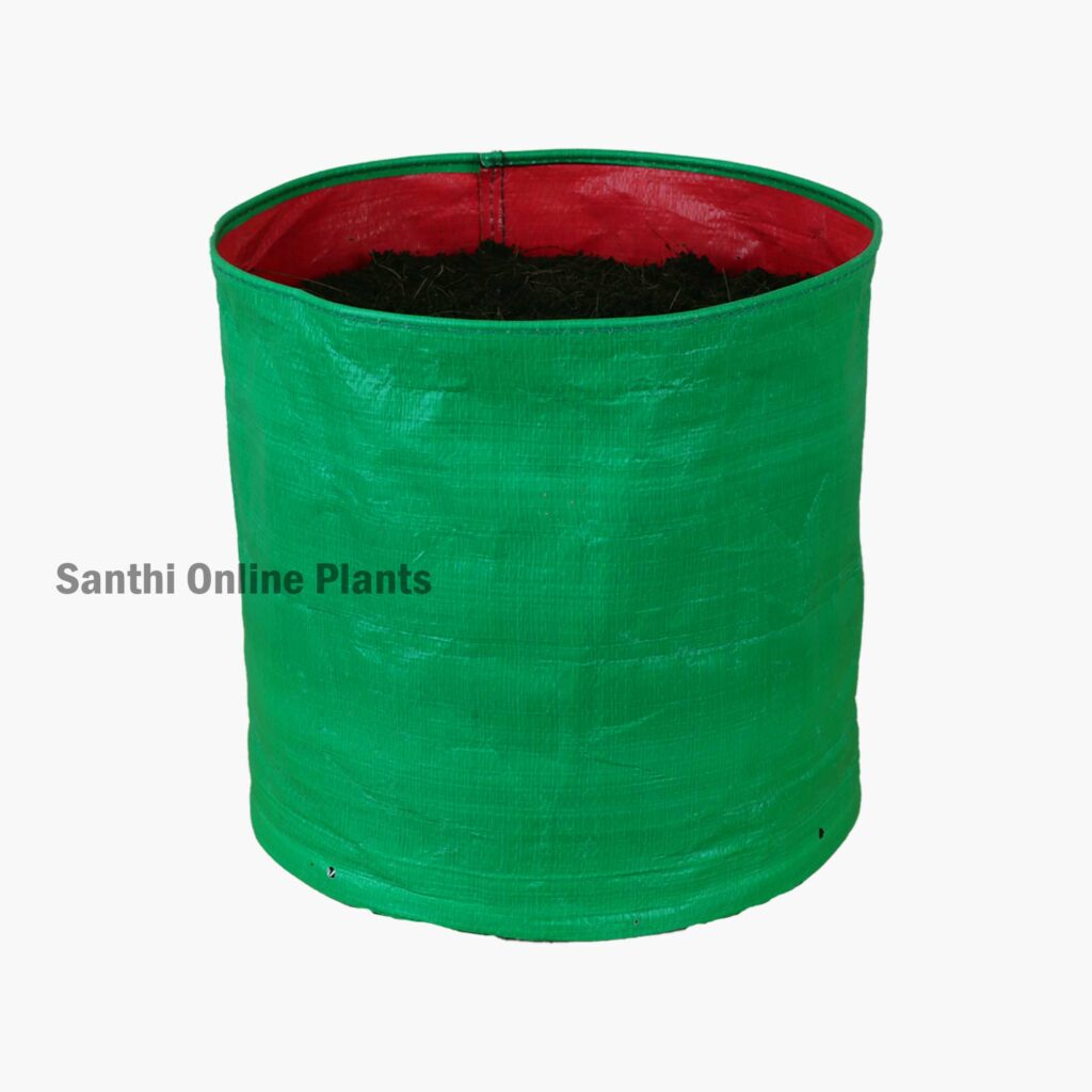 Green Grow Bag 9*9 (10 Pcs) - Santhi Online Plants Nursery