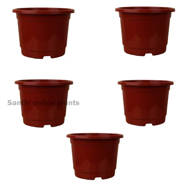 10" Pot Brown