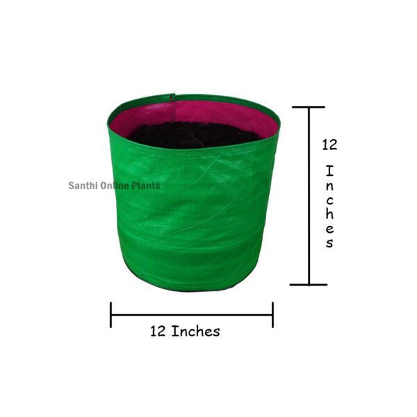 Green Grow bag 12 * 12 (10 pcs) - Santhi Online Plants Nursery