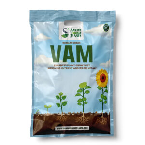 VAM