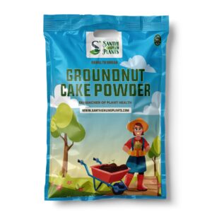 Groundnut oil cake powder